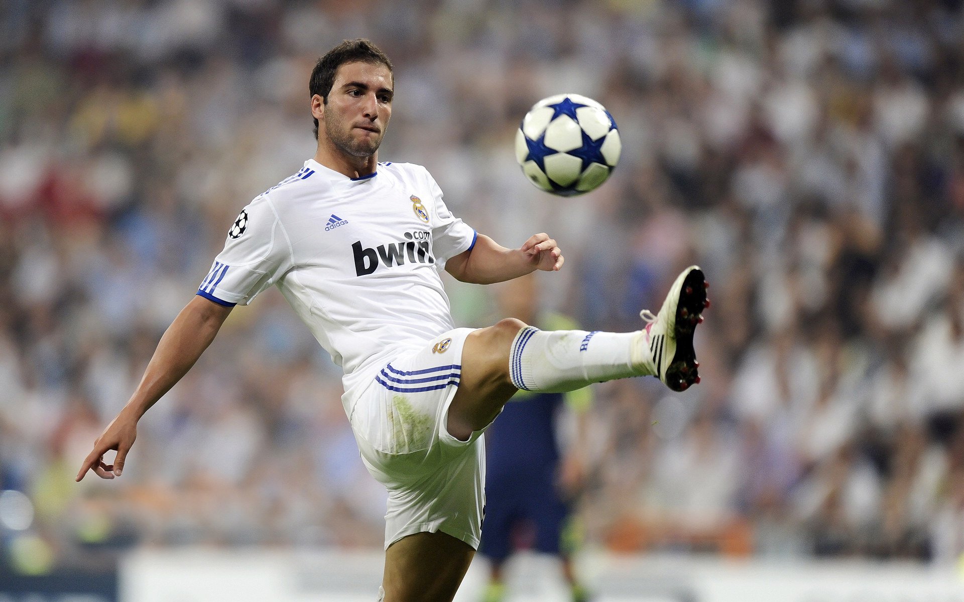 爱游戏中国-当斗牛士军团碾过雄狮，萨内，那个独自扛起塞内加尔脊梁的人